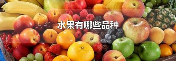 水果有哪些品种