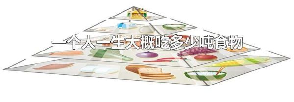 一个人一生大概吃多少吨食物