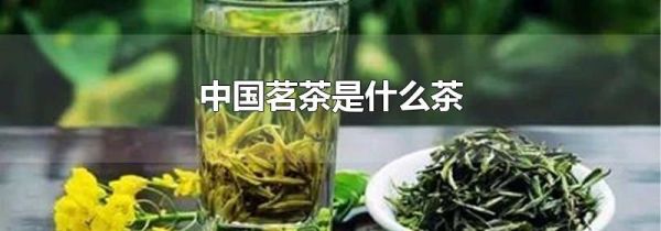 中国茗茶是什么茶