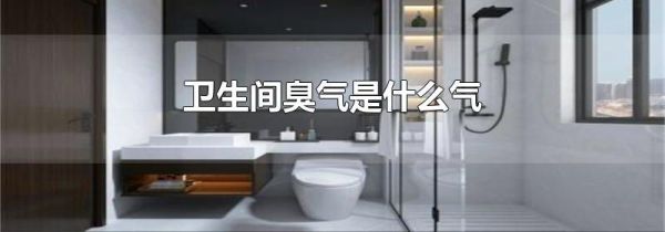 卫生间臭气是什么气