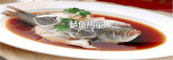 鲈鱼热量