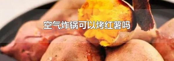 空气炸锅可以烤红薯吗