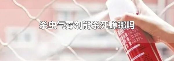 杀虫气雾剂能杀死蟑螂吗