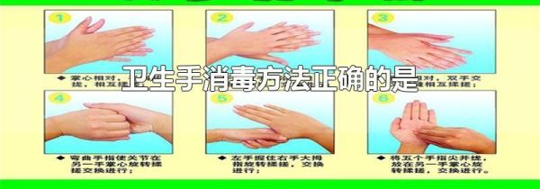 卫生手消毒方法正确的是