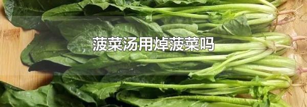 菠菜汤用焯菠菜吗