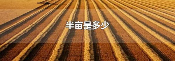 半亩是多少