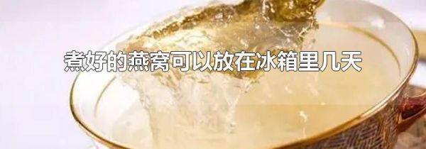 煮好的燕窝可以放在冰箱里几天
