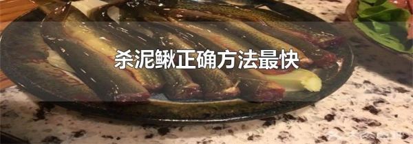 杀泥鳅正确方法最快