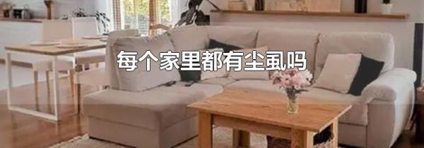 每个家里都有尘虱吗