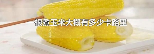 一根煮玉米大概有多少卡路里