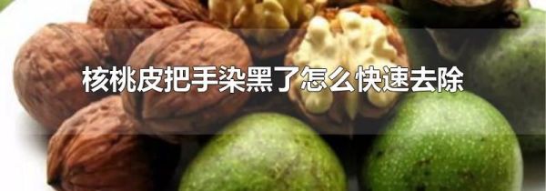 核桃皮把手染黑了怎么快速去除