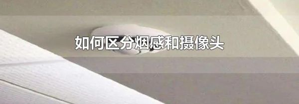 如何区分烟感和摄像头