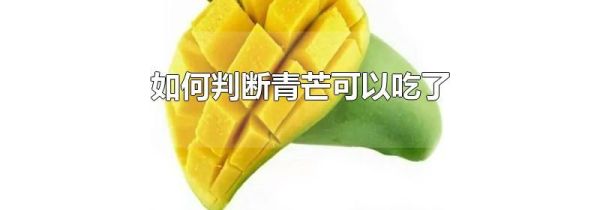如何判断青芒可以吃了