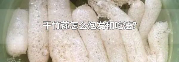 干竹荪怎么泡发和吃法?