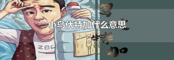 小鸟伏特加什么意思