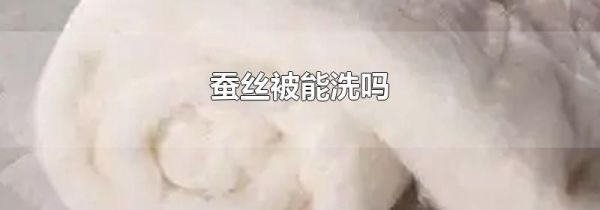 蚕丝被能洗吗