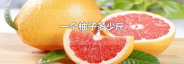 一个柚子多少斤