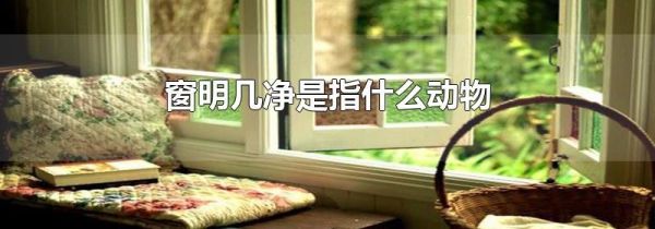 窗明几净是指什么动物