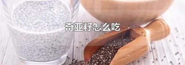 奇亚籽怎么吃