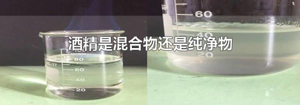 酒精是混合物还是纯净物
