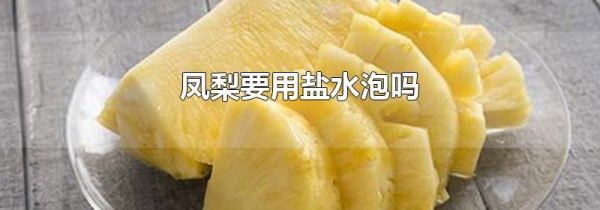 凤梨要用盐水泡吗