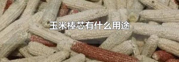 玉米棒芯有什么用途