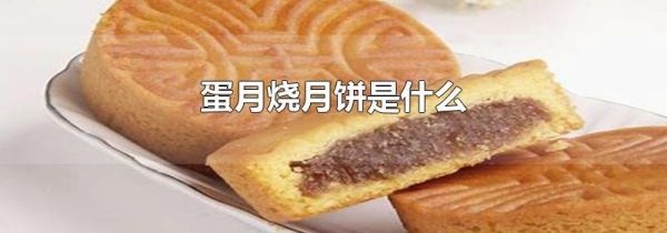 蛋月烧月饼是什么
