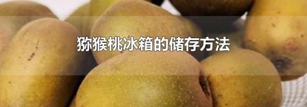 猕猴桃冰箱的储存方法