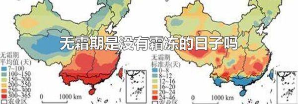 无霜期是没有霜冻的日子吗