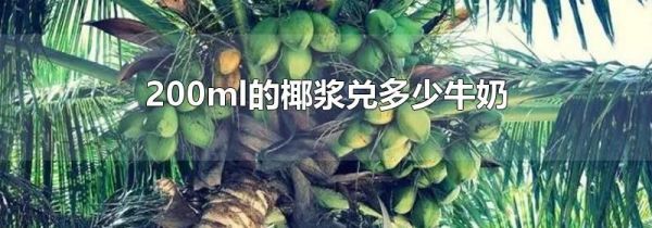 200ml的椰浆兑多少牛奶