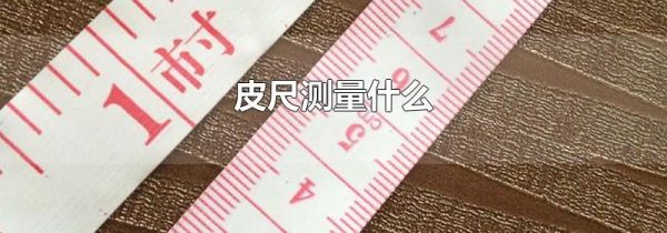 皮尺测量什么
