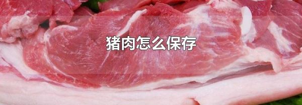 猪肉怎么保存