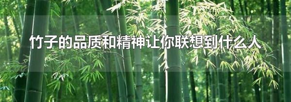 竹子的品质和精神让你联想到什么人