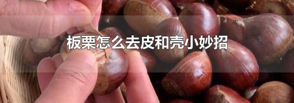 板栗怎么去皮和壳小妙招