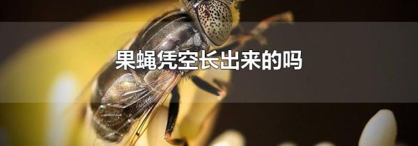 果蝇凭空长出来的吗