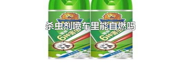 杀虫剂喷车里能自燃吗