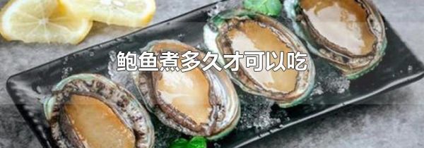 鲍鱼煮多久才可以吃