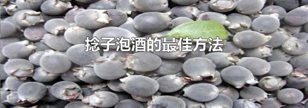 捻子泡酒的最佳方法