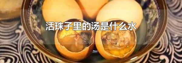 活珠子里的汤是什么水