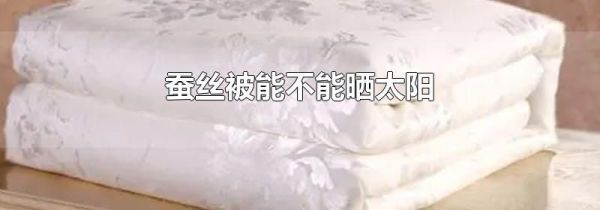 蚕丝被能不能晒太阳