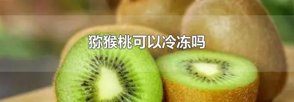 猕猴桃可以冷冻吗