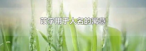 苡字用于人名的寓意