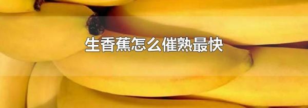 生香蕉怎么催熟最快