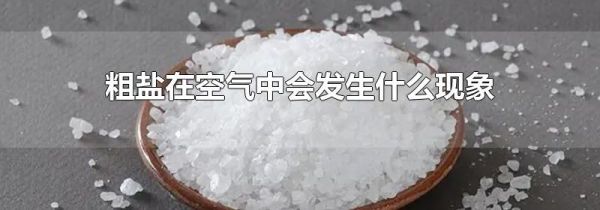 粗盐在空气中会发生什么现象