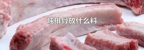 炖排骨放什么料