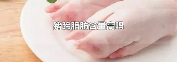 猪蹄脂肪含量高吗