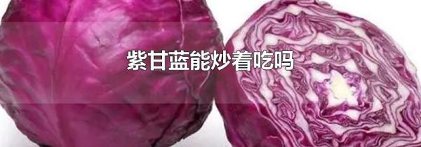 紫甘蓝能炒着吃吗