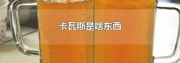 卡瓦斯是啥东西