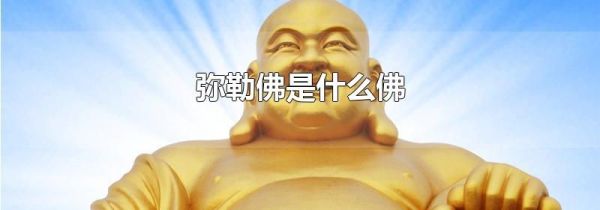 弥勒佛是什么佛