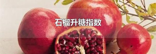 石榴升糖指数